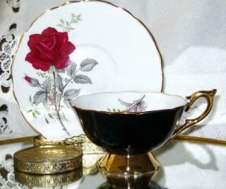 Royal Stafford Red Rose Black Gold Gilt Tea Cup And Saucer