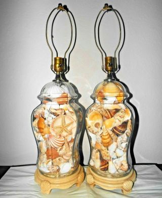 Lamps Pair 28 " H 3 - Way Fancy Seashell Filled Asian Themed Ginger Jar Table Lamps