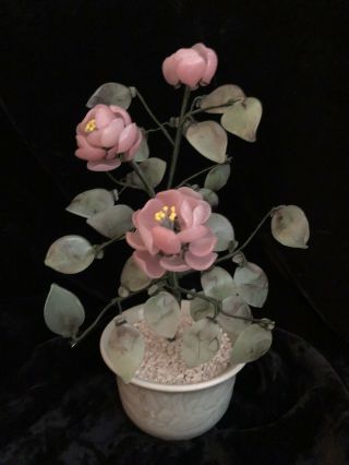 Carved Jade Pink Flower Bonsai Tree Plant Bush Semi - Precious Stone Rose Quartz