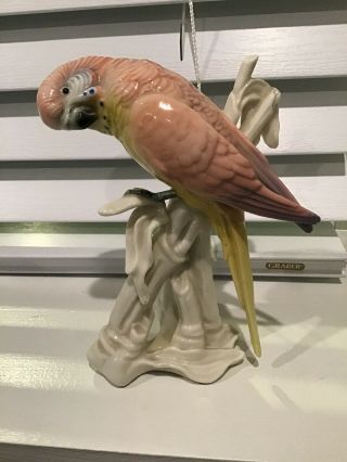 Karl Ens Popinjay Parrot Bird 51/4 In Hand Painted Porcelain Figurine Chipped