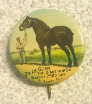 1.  25 " Pinback,  The Famous Dr.  Le Gear Giant Horse,  1911,  Near