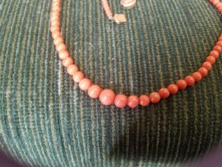 Vintage Natural Red Coral 20 " Graduated Bead Necklace W/ Sterling Clasp