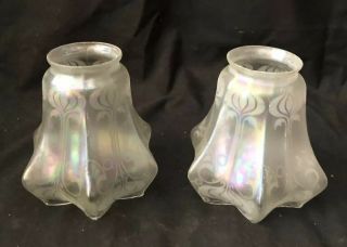 Antique 2 Art Nouveau Style Shades Frosted Opalescent Glass Lamp Rare