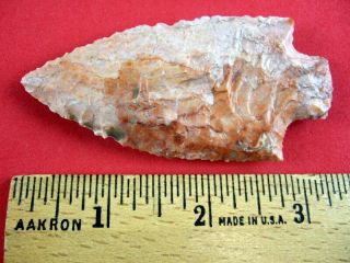 Fine Authentic 3 1/4 inch Tennessee Ledbetter Point Indian Arrowheads 2