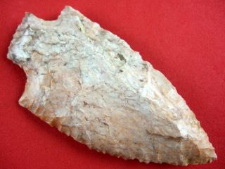 Fine Authentic 3 1/4 inch Tennessee Ledbetter Point Indian Arrowheads 3