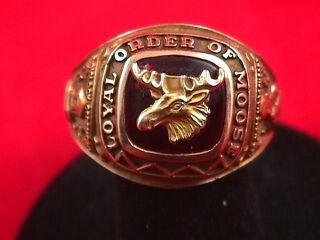 Vintage Loyal Order Of Moose Ring - Gold 10k - Redstone - Ring Size 14.  5
