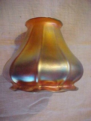 Steuben Aurene Tiffany Favrile Gold Iridescent Art Glass Lamp Shade 2 - 1/4 " D