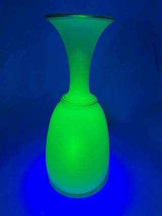 Art Deco Elegant French Vaseline/uranium Frosted Glass & Gold Gilt 11 " Vase