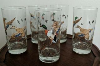 Set Of 5 Vintage Libby’s Mallard Duck Pheasant Glasses - 1974 - Hunting / Cabin