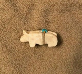 Old Traditional Shape Navajo White Bear Fetish Native American Turquoise Healing