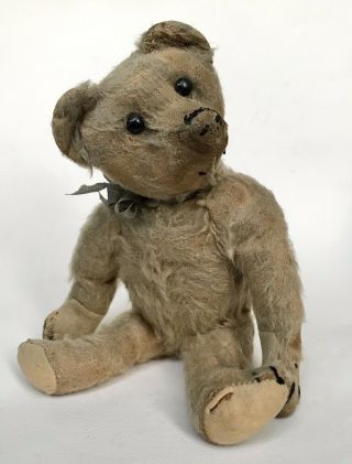 Attic Found Well - Loved Antique Steiff Mohair Teddy Bear Shoe Button Eyes - 11”