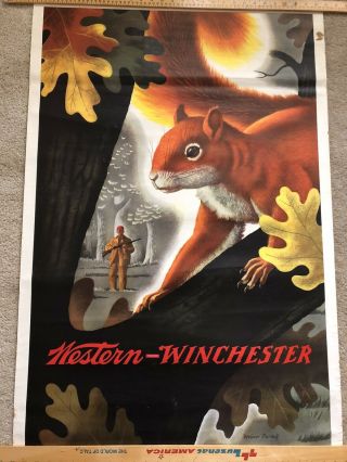Vintage 1955 Western - Winchester Hunting Poster Weimer Pursell Squirrel