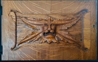 Antique Carved Tiger Oak Door Panel - Lion/gargoyle