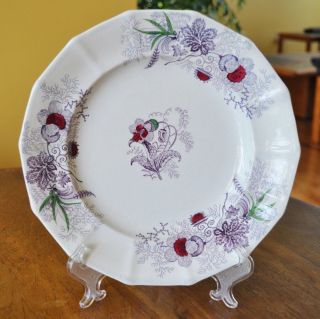 Lovely Antique Transferware Ironstone Staffordshire Plate Wood & Challinor Lily