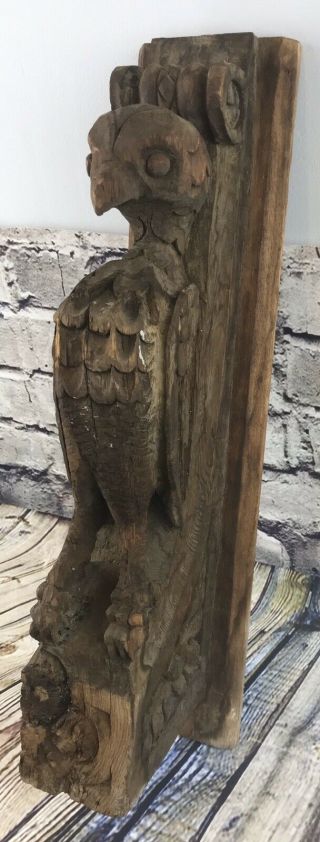 Antique Hand Carved Grotesque Bird Wall Decor,  from Upstate NY Church 2
