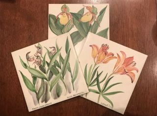 Set Of 3 Signed Vintage Tiles By Alice Reynolds Hand Painted? Flowers Floral