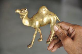 Old Brass Handcrafted Unique Shape Solid Camel Figurine