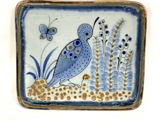 Vintage Ken Edwards Signed Quail Floral Dish Tray El Palomar Mexico Pottery 7.  5”