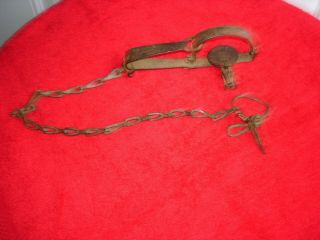 Vintage Newhouse No.  0 Long Spring Animal/ Collector Trap.