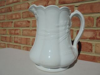 Antique J & G Meakin White Ironstone Wheat & Hops Lg Water Pitcher 9 "
