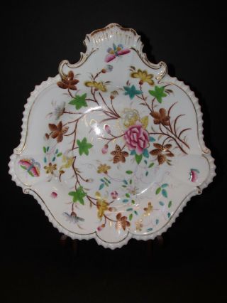 Antique English Hand Painted Serving Dish,  Circa 1880,  Hummingbird And Butterfly