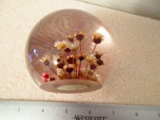 Vintage Lucite Daisy glass Hand Crafted Paperweight with Dried Flowers 2