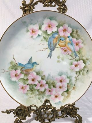 19th C Antique Porcelain Hand Painted Charger Blue Birds Signed V.  Atchison
