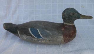 Good Vintage Decoy Carved & Painted Mallard Duck With Glass Eyes