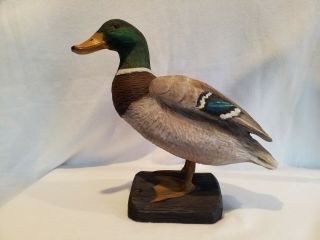 Vintage Hand Carved Painted Mallard Duck Decoy On Drift Wood 13 - 3/4 Tall