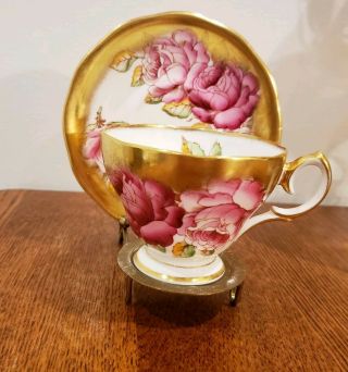 Rare Queen Ann Huge Cabbage Roses Cup &saucer Heavy Gold