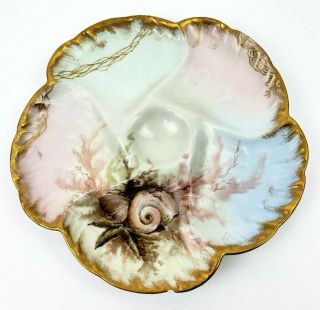 Cfh Gdf Haviland Hand Painted Oyster Plate 5 Well Shell Star Fish 9 " W/ Chip