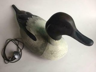 Hadley Company Hand Carved Northern Pintail Duck With Weight,  19.  5 " Long,  Signed