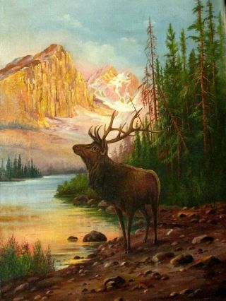 Antique Oil Painting On Canvas Elk By Lake Landscape Wild Life Old &