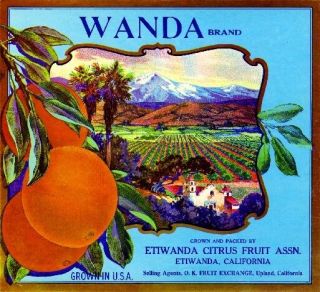 Etiwanda Upland San Bernardino Wanda Orange Citrus Fruit Crate Label Art Print