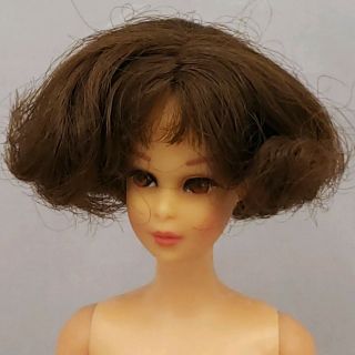Vintage Tnt Brunette Short Flip Francie Barbie Doll