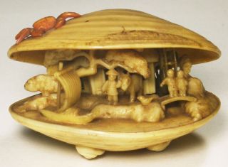Japanese Celluloid Clam Shell Water Wheel
