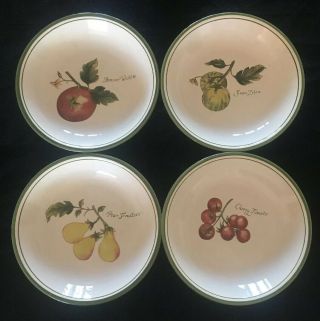 Set Of Four (4) Williams - Sonoma ‘heirloom Tomatoes’ Pasta Soup Bowls Vtg 9.  5”