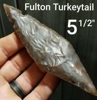 Huge Fulton Turkeytail Arrowhead Spear Point Native Indian Artifact 5 1/2 " Long