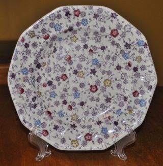 Antique Transferware Ironstone Staffordshire Plate Livesley Powell Forget Me Not