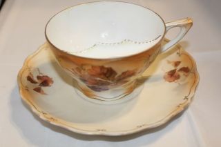 Rs Prussia Mustache Tea Cup And Saucer Red Mark Antique Rare
