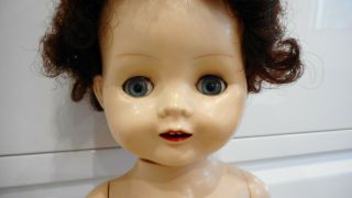 Vintage English Doll By Pedigree 40 Cm Walking With Glass Eyes