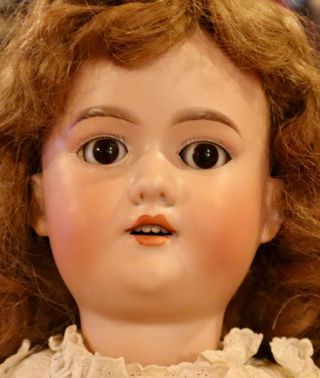 Antique 24 " German Bisque Rare Large Size George Borgfeldt Doll