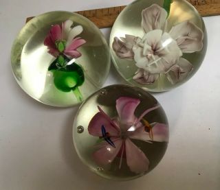 3 Vintage Glass Paperweights Flowers,  Frogs,  Dragonflies