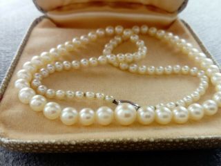 Vintage Ciro Cultured Pearls Necklace Platinum 950 Clasp