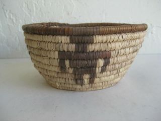 Vtg Pima Papago Native American Indian Hand Woven Coil Pictorial Basket Ex 6 "