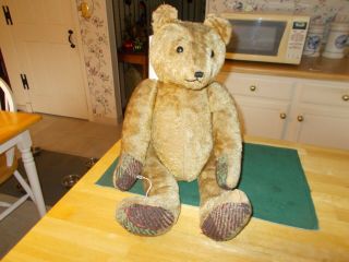 Large Size German Teddy Bear From Early 1900s Fully Jointed Shoe Button Eyes