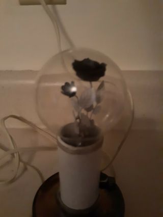 Vintage Aerolux Rose And Leaves Electric Light Bulb Flower with lamp 3