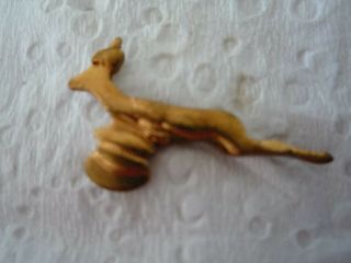 Vintage 1956 Zealand Rugby Tour - South Africa Springbok Team / Player Badge