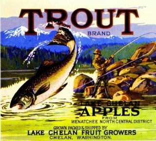 Lake Chelan Washington Trout 2 Apple Fruit Crate Label Art Print