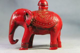 China Collectable Handwork Coral Carving Elephant Noble Exquisite Snuff Bottles